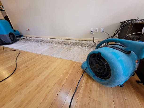 Professional Water Damage Repair technician working in Coupland, TX